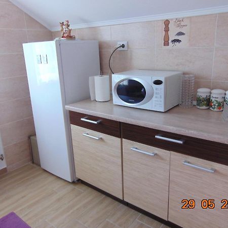 Vila Floarea De Colt Borsa (Maramures) Exterior photo