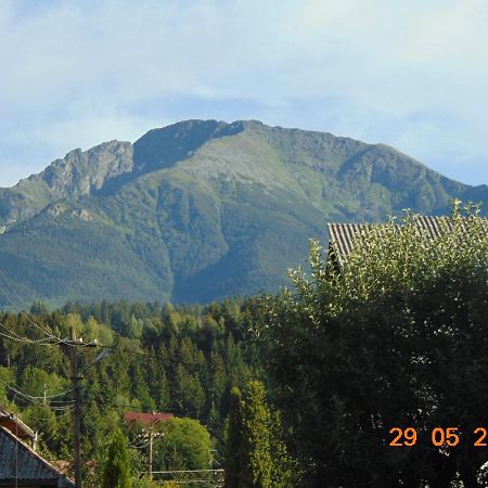Vila Floarea De Colt Borsa (Maramures) Exterior photo
