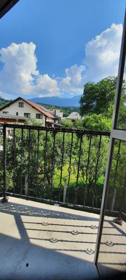 Vila Floarea De Colt Borsa (Maramures) Exterior photo