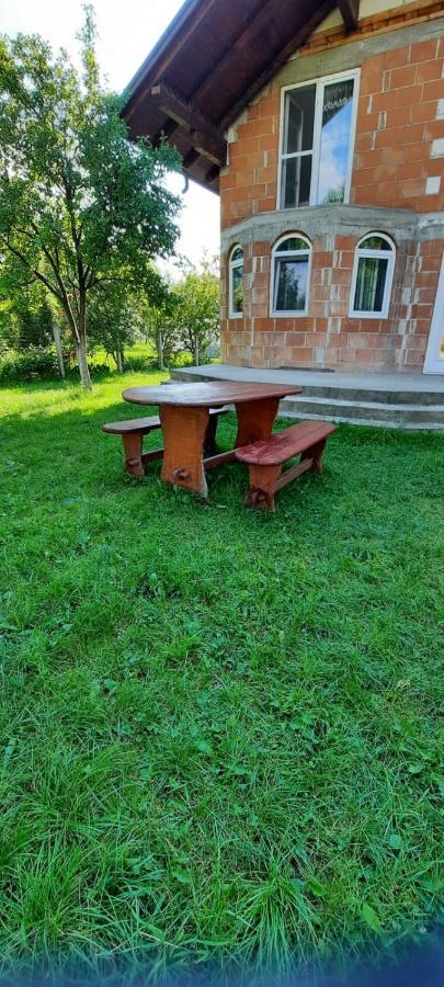 Vila Floarea De Colt Borsa (Maramures) Exterior photo