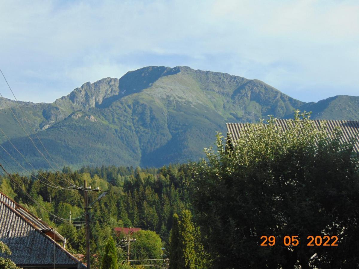 Vila Floarea De Colt Borsa (Maramures) Exterior photo
