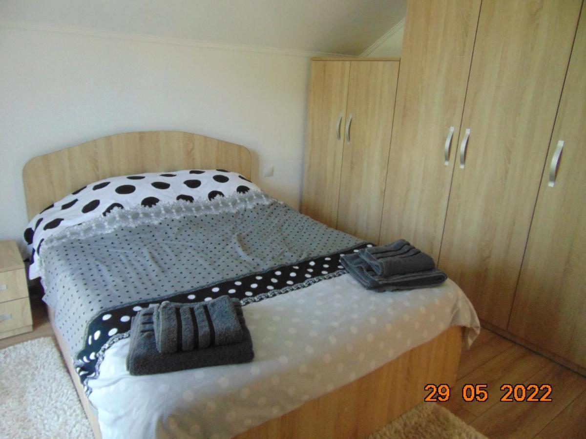 Vila Floarea De Colt Borsa (Maramures) Exterior photo